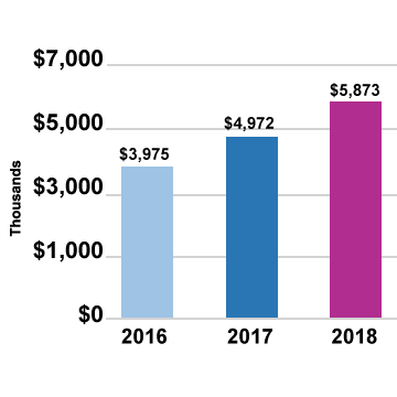 Revenue growth from 2016 to 2018 chart describes revenue growth year over year