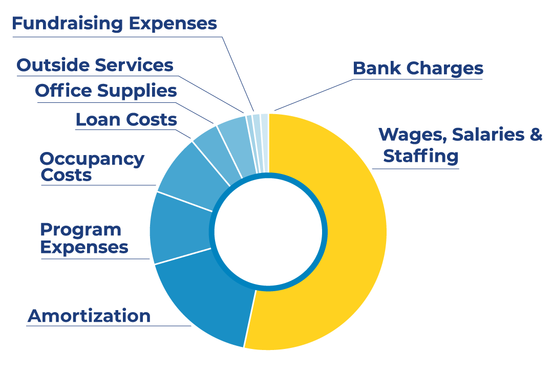 pie chart showing the Expense Summary for 2019