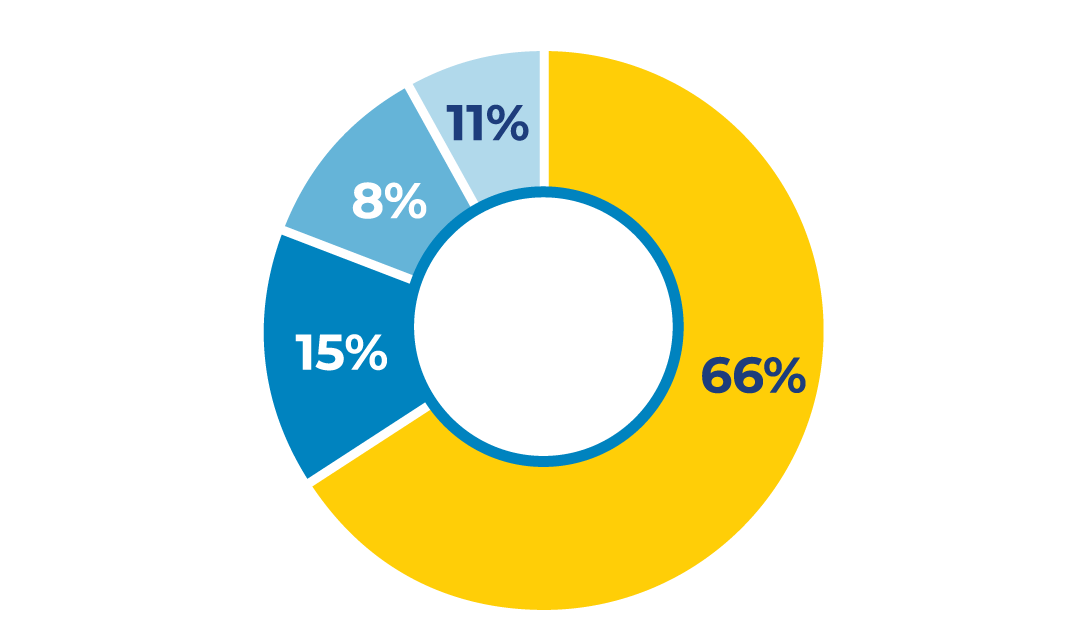 pie chart showing Program Expenses