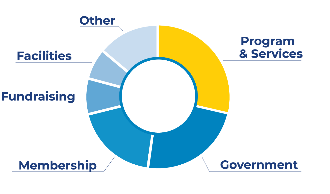 Pie Chart showing the where revenue comes from