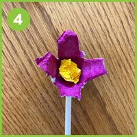 Flowers-4.jpg Flowers-4.jpg