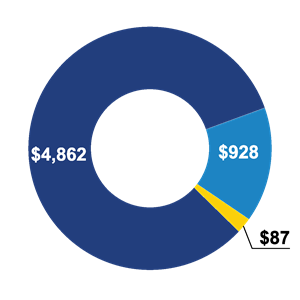 Program expenditure pie graph for 2018 includes funds allocated for programs and support facilities, operations and fundraising