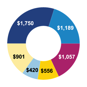 Revenue pie graph breakdown for 2018 including government grants, membership, programs and services, fundraising, facilities and other.